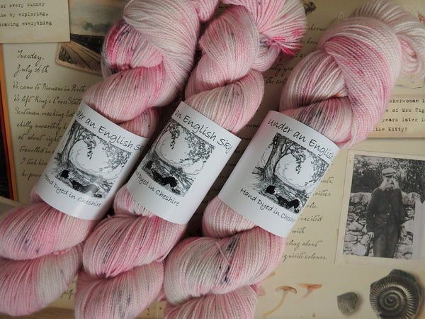 Mrs Tiggy-Winkle Hand Dyed Fingering Weight Yarn