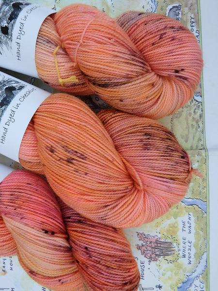 Sunset Over The 100 Acre Wood Sock yarn