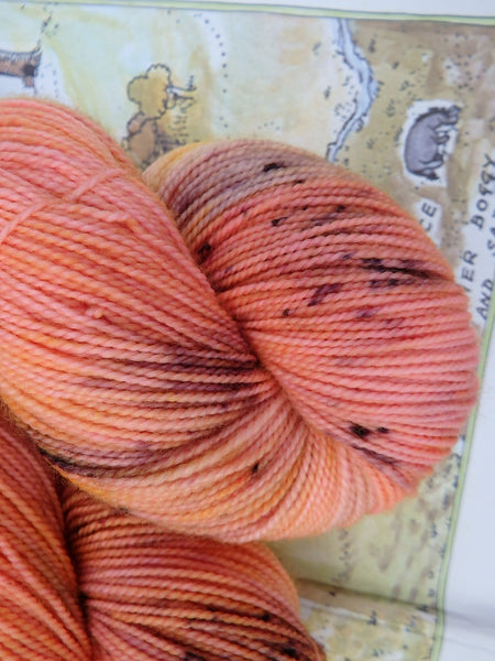 Sunset Over The 100 Acre Wood Sock yarn