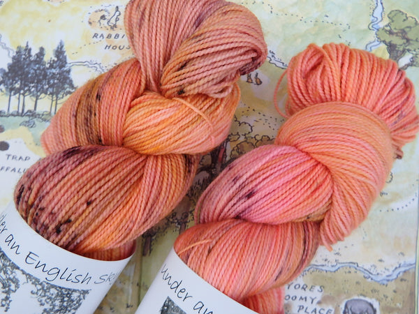 Sunset Over The 100 Acre Wood Sock yarn