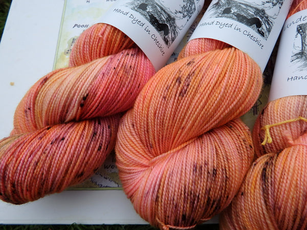 Sunset Over The 100 Acre Wood Sock yarn