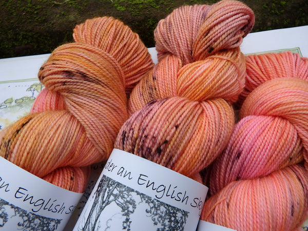 Sunset Over The 100 Acre Wood Sock yarn