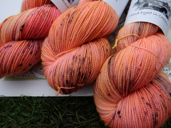 Sunset Over The 100 Acre Wood Sock yarn
