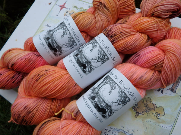 Sunset Over The 100 Acre Wood Sock yarn
